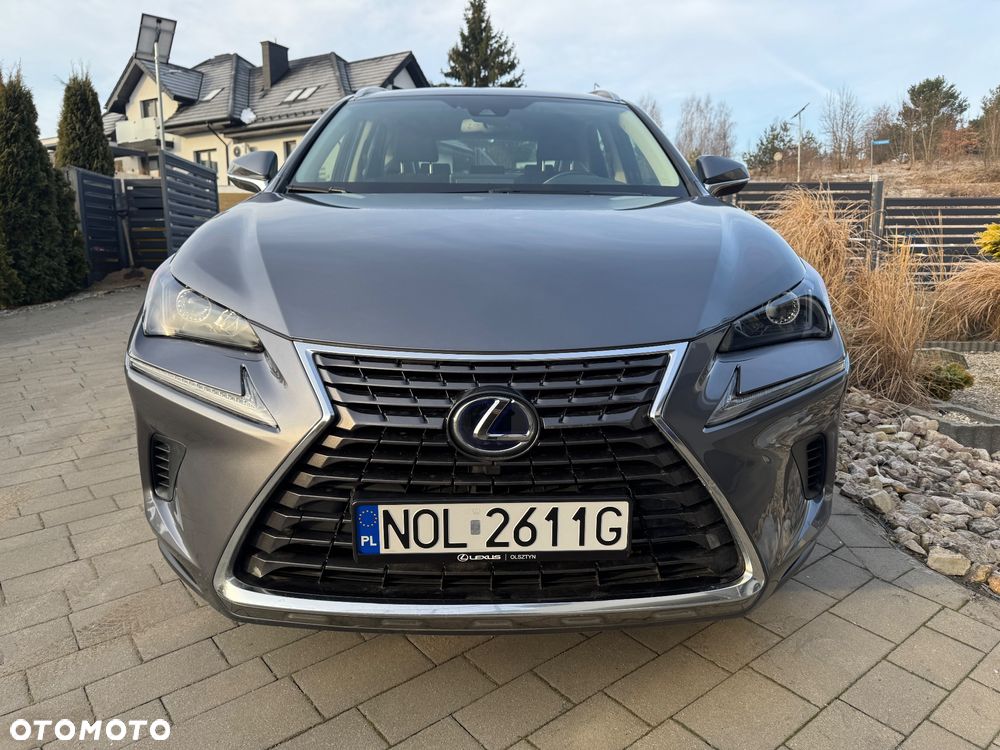Lexus NX 300 Elegance Optimum AWD - 8