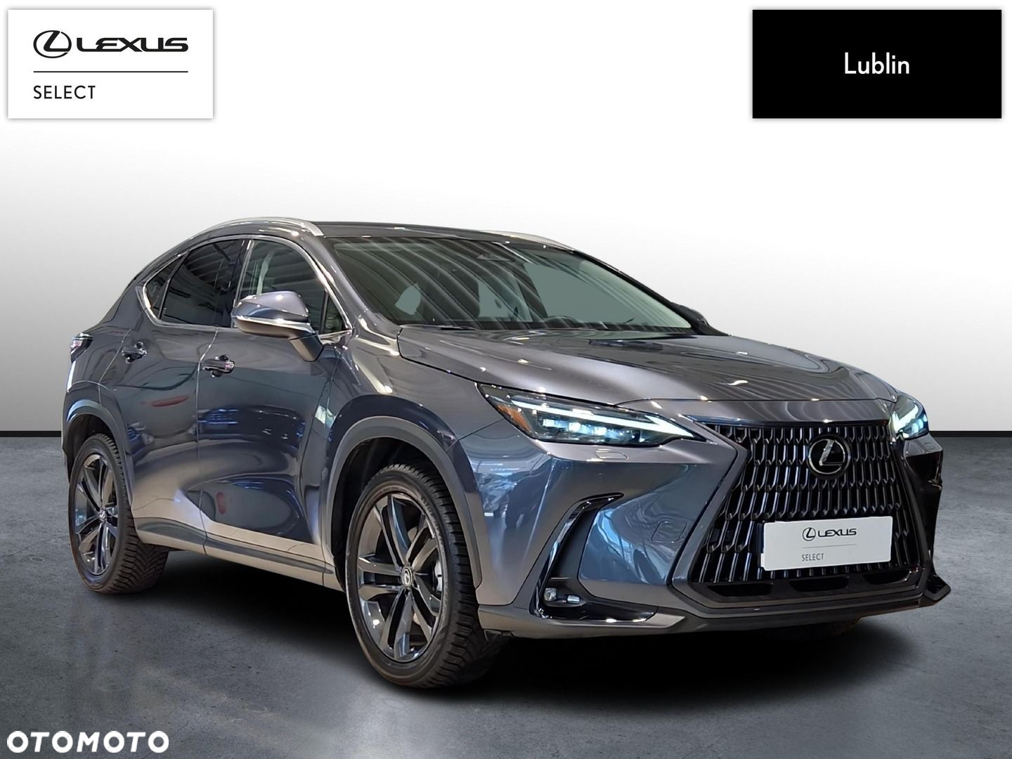 Lexus NX 350h Prestige AWD - 7