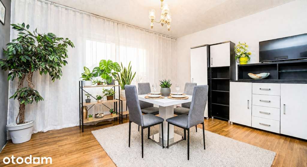 82,67 m² pod biuro lub mieszkanie | Sikorskiego