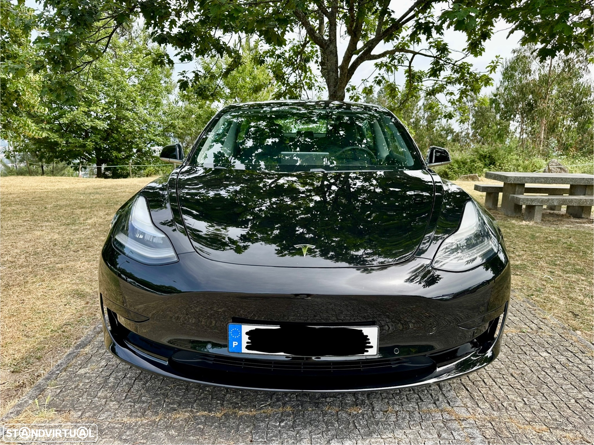 Tesla Model 3 Standard RWD Plus - 2