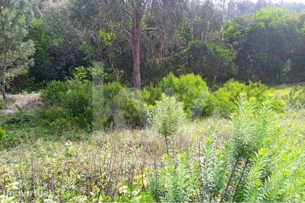 Lote de Terreno | 689m2 | Casal Fernão João | Pombal - Grande imagem: 5/14