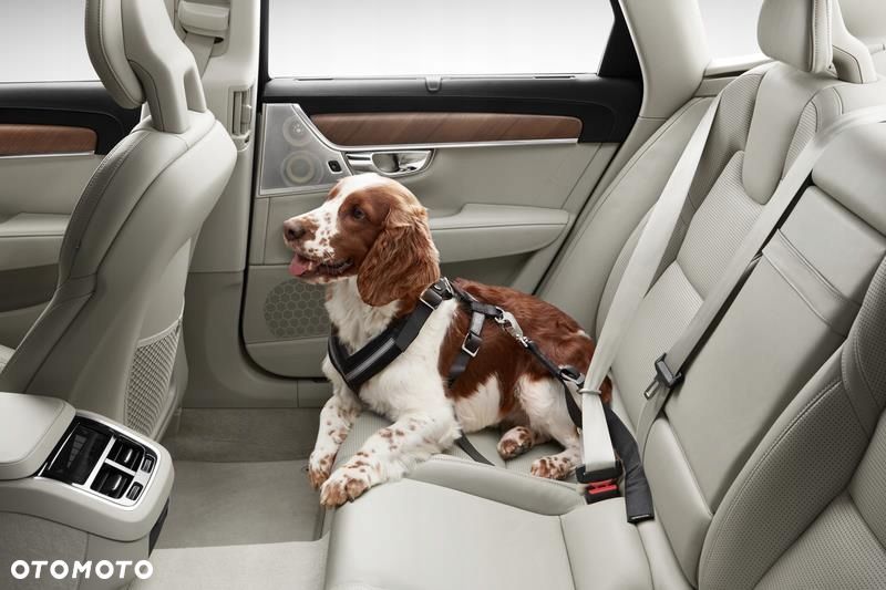 VOLVO uprzaz pas dla psa do 15kg na tylna kanape - 1