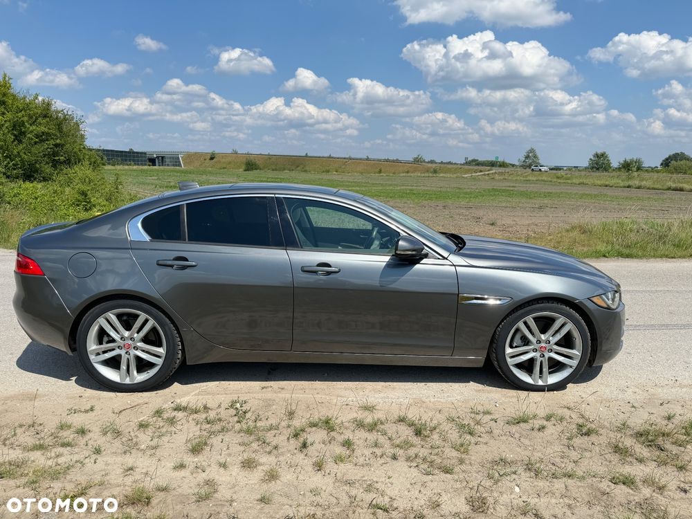 Jaguar XE - 8