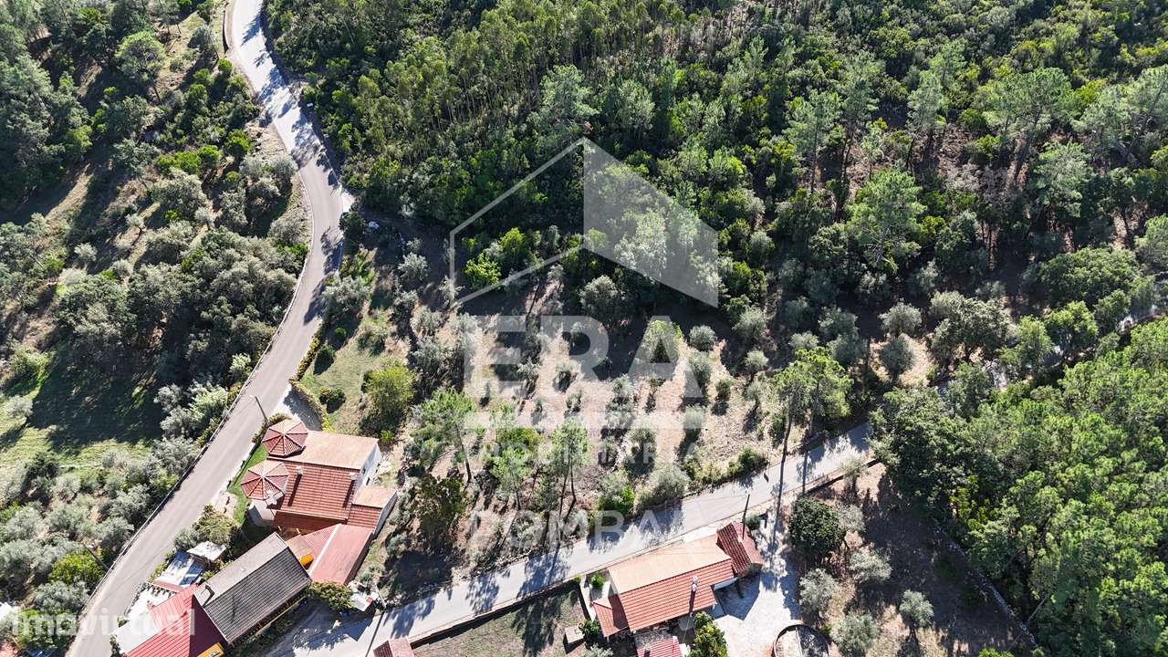 Terreno com 2450m2 para construção em Ansião - Grande imagem: 5/6