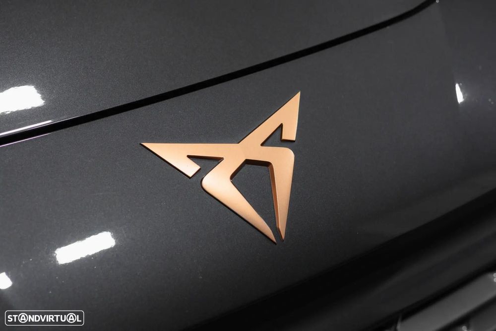Cupra Terramar - 20