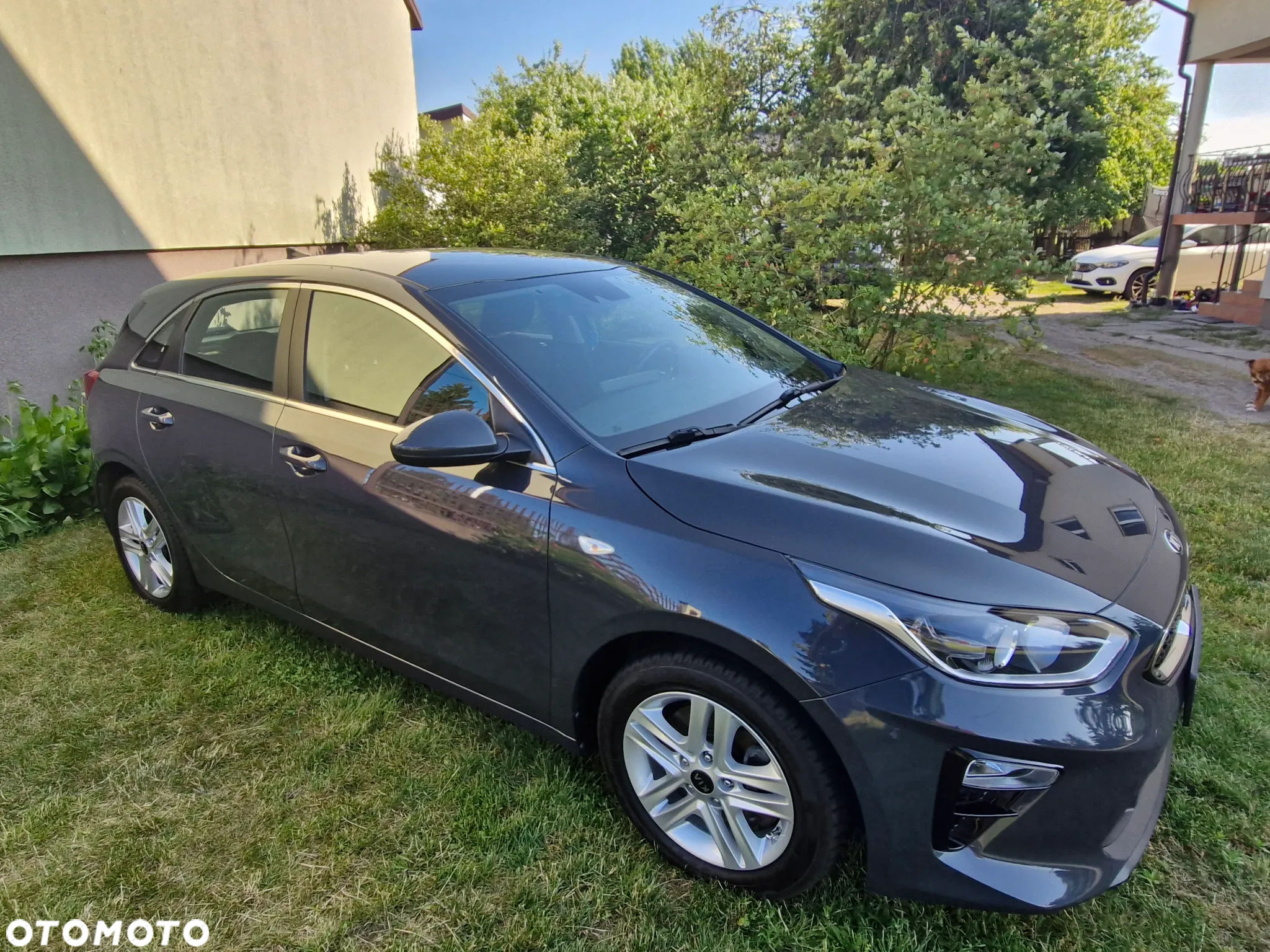 Kia Ceed 1.6 CRDi Eco-Dynamics+ (48V Mild-Hybrid) Vision - 3