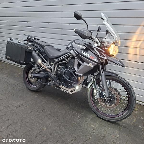 Triumph Tiger - 4