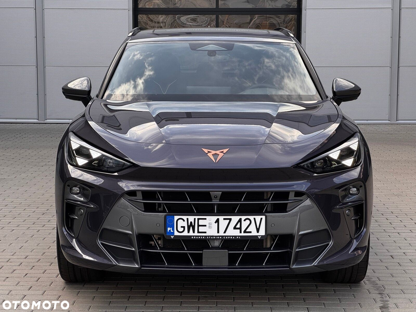 Cupra Terramar - 4