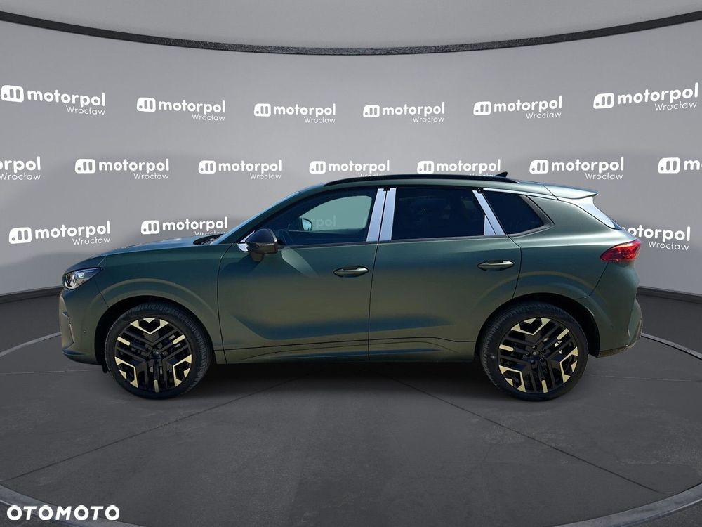 Cupra Terramar - 8