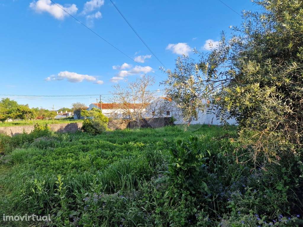 Terreno para Construção em Vila Nova da Baronia - Grande imagem: 4/19