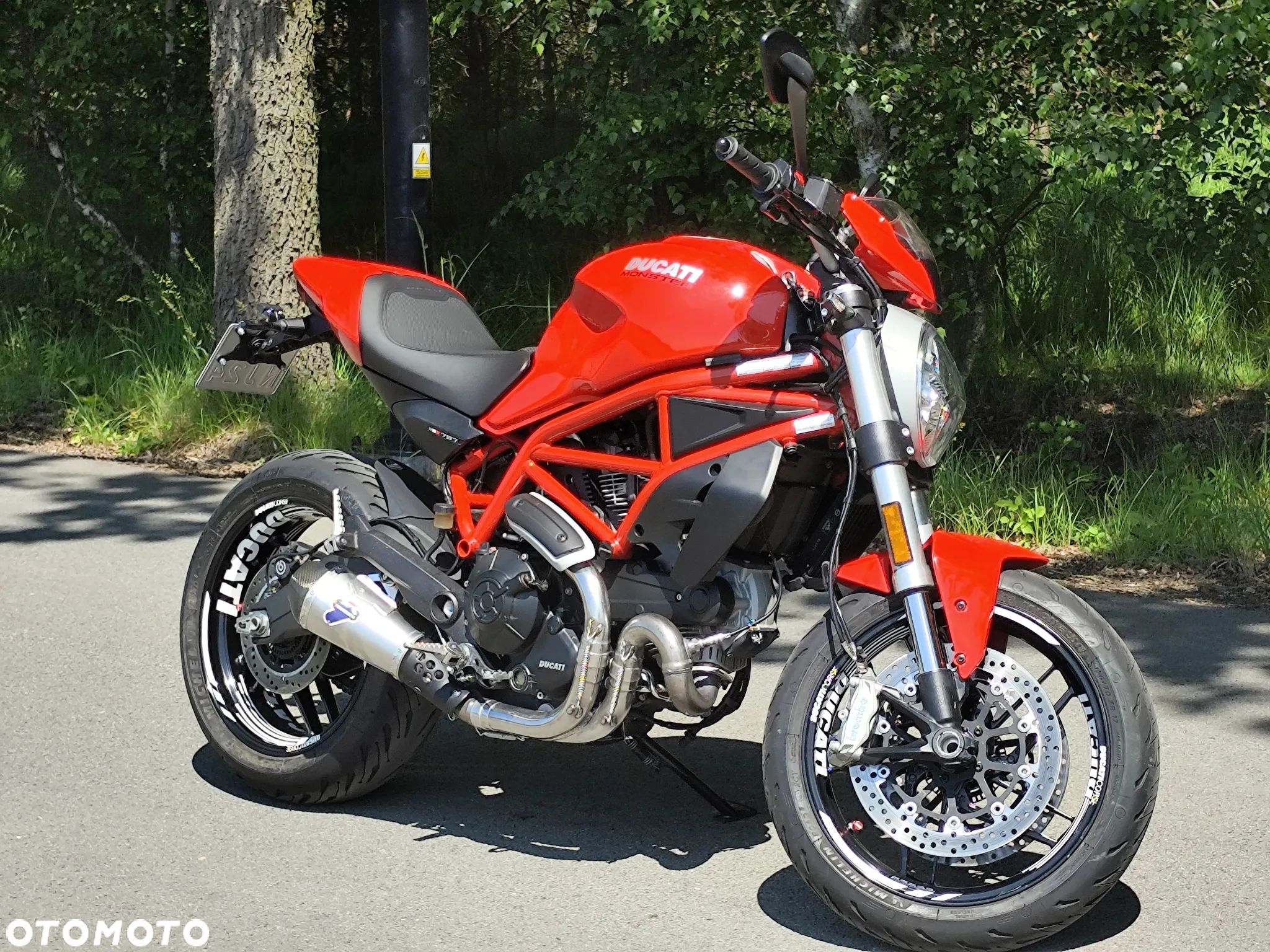 Ducati Monster - 1