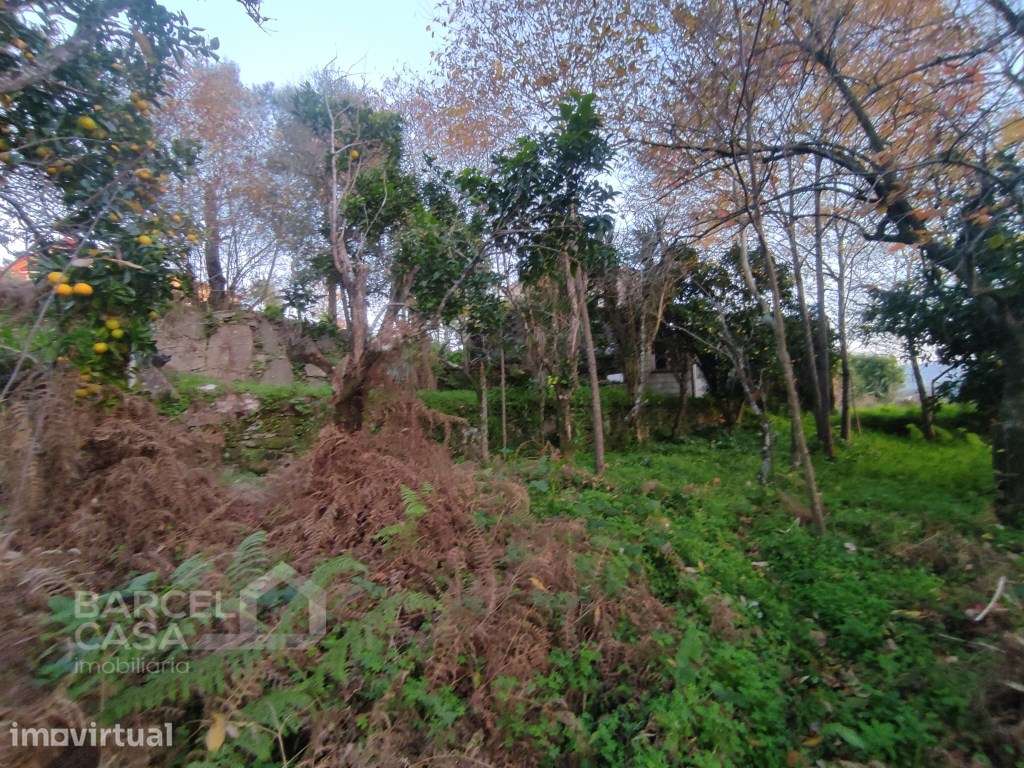 Terreno de construção em Mariz - Barcelos - Grande imagem: 4/8