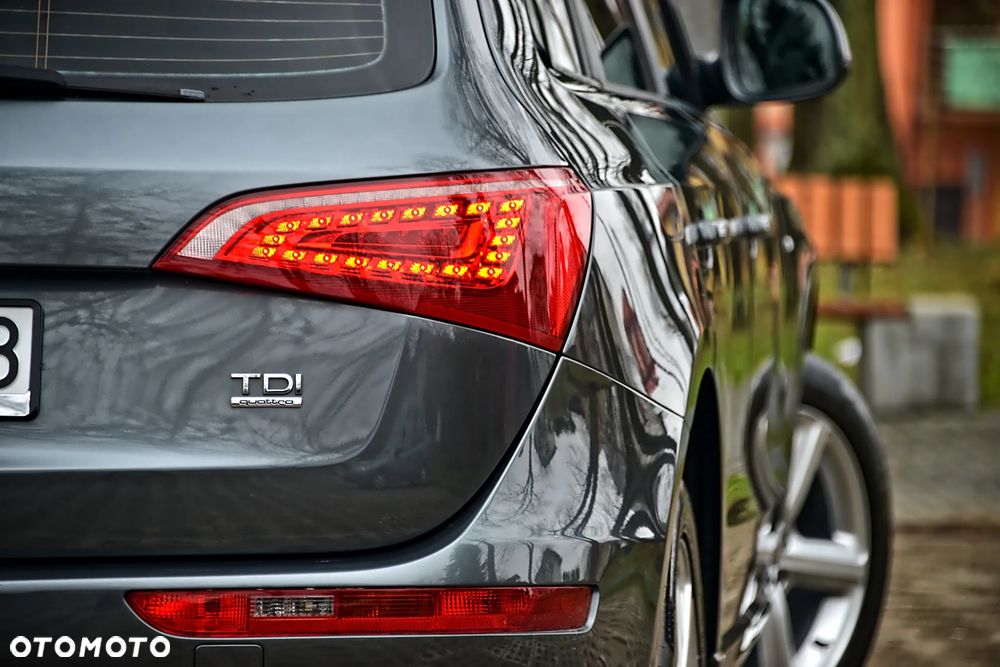 Audi Q5 - 21