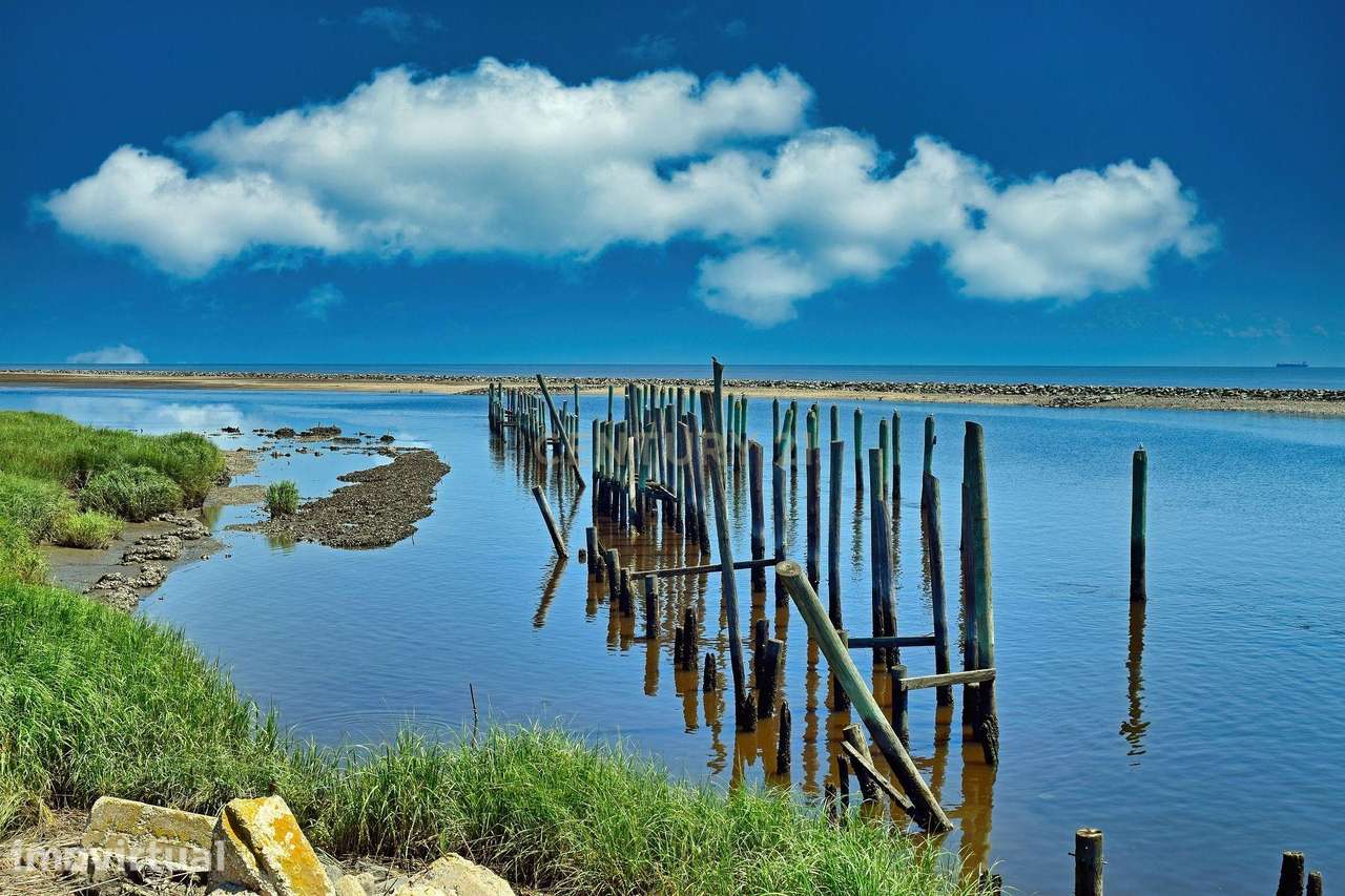ECO RESORT – A Place That Remembers. A Place That Returns. - Grande imagem: 4/6