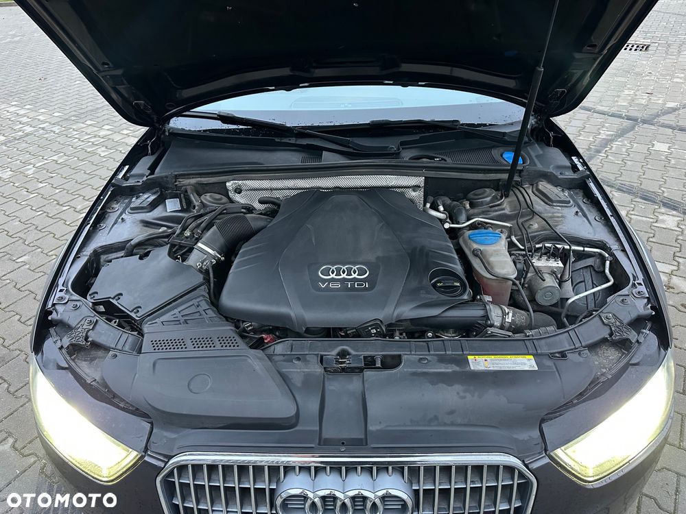 Audi A4 Allroad 3.0 TDI clean diesel Quattro S tronic - 19