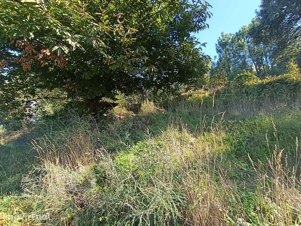 Terreno de construção em Gamil - Barcelos - Grande imagem: 4/10