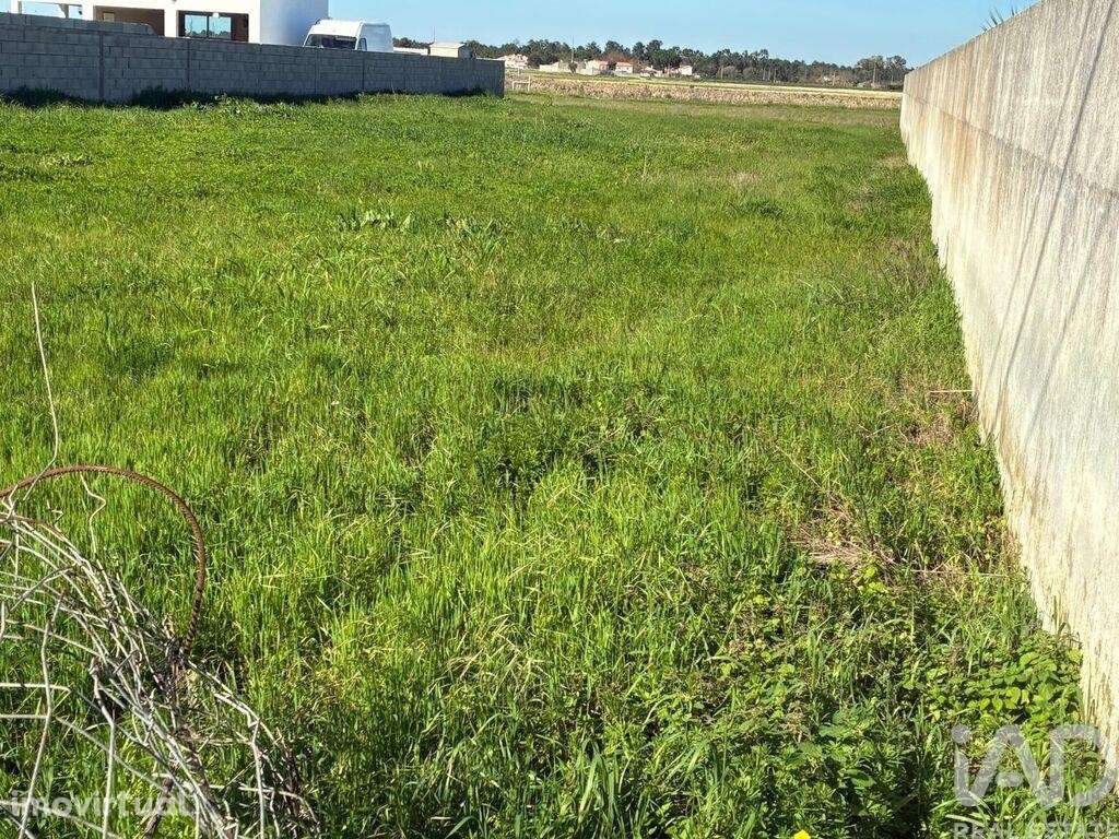 Terreno para construção em Salvaterra de Magos e Foros de Salvaterra - Grande imagem: 3/7