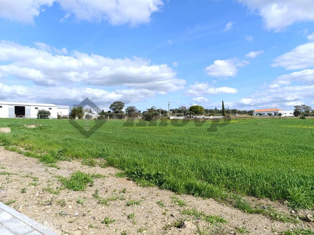 Terreno na Vila de Castro Verde em Zona de Atividades Económicas - Grande imagem: 4/14