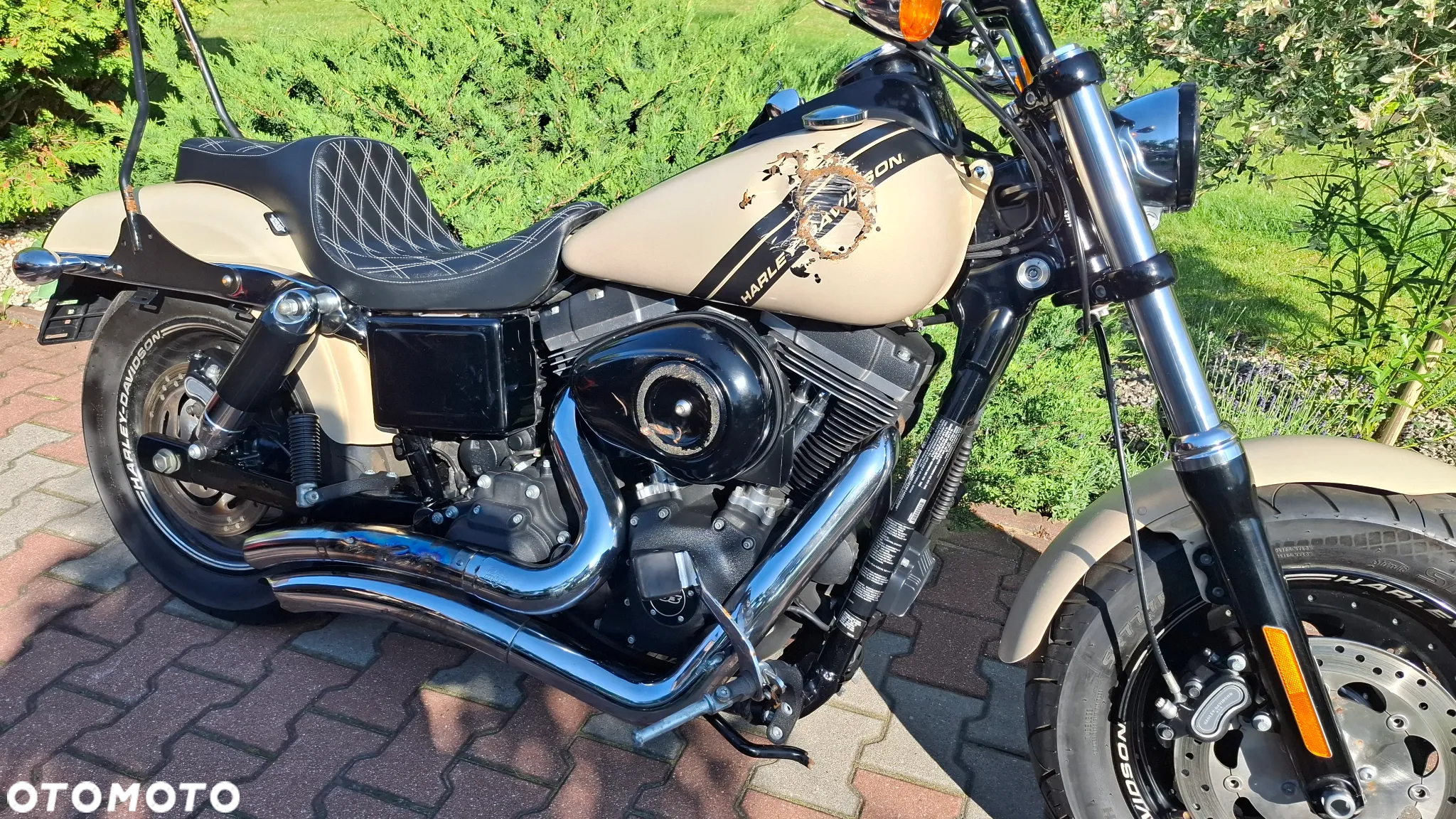 Harley-Davidson Dyna Fat Bob - 13