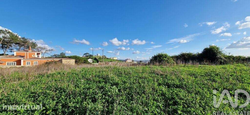 Terreno em Igreja Nova e Cheleiros de 10000,00 m2 - Grande imagem: 2/18