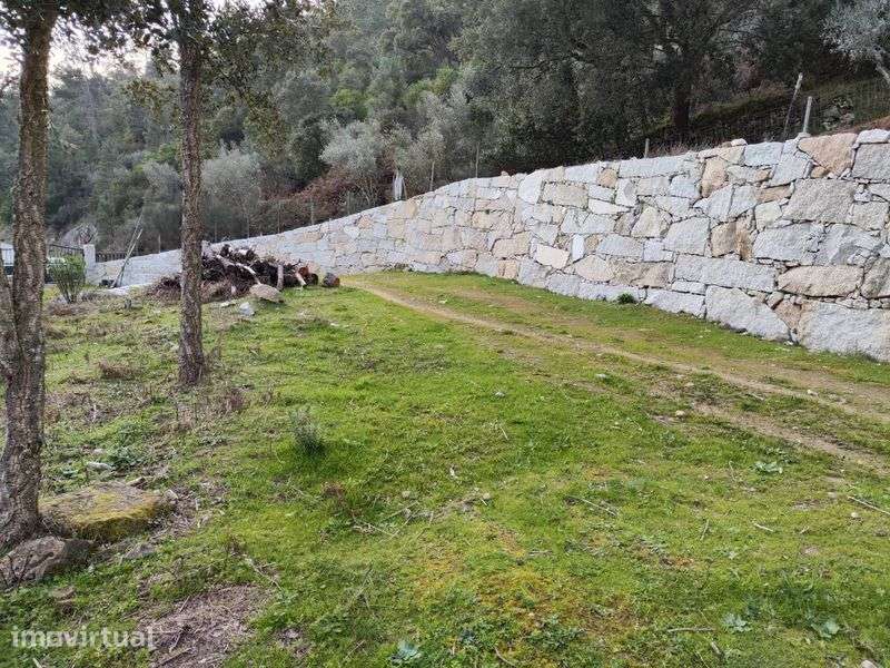 Quinta 3 Hectares Murganheira ( Tarouca ) - Grande imagem: 5/12