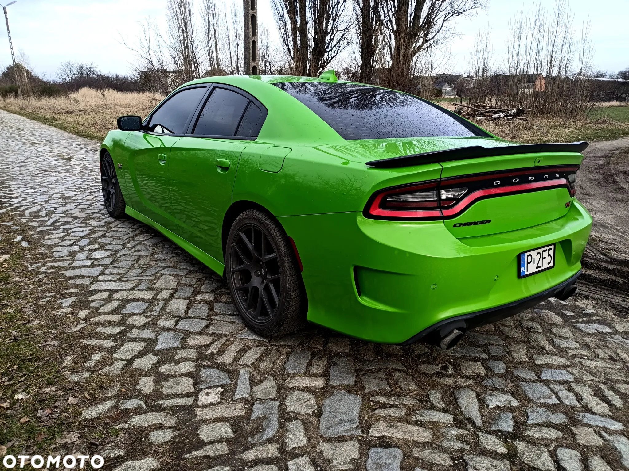 Dodge Charger 6.4 Scat Pack - 2