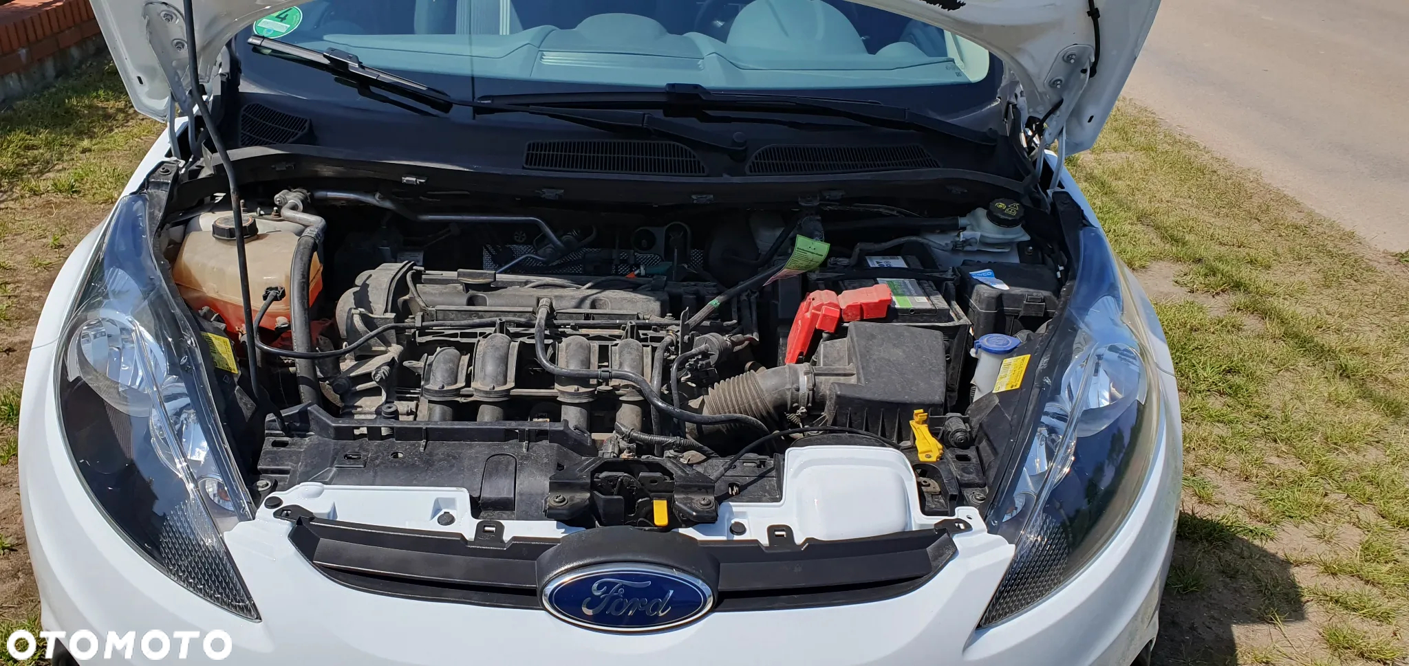 Ford Fiesta 1.25 Champions Edition - 20