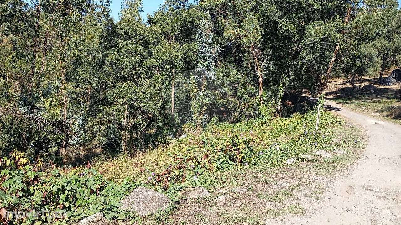 Terreno  para venda - Grande imagem: 3/4