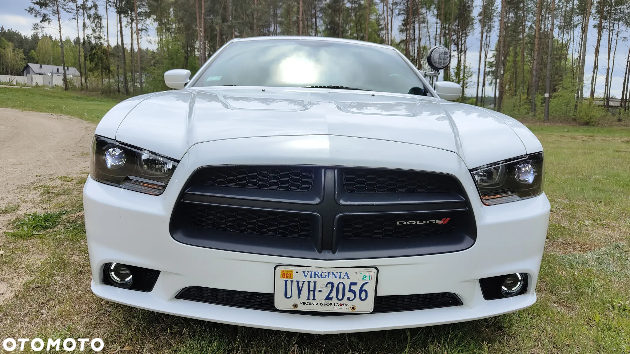 Dodge Charger - 19