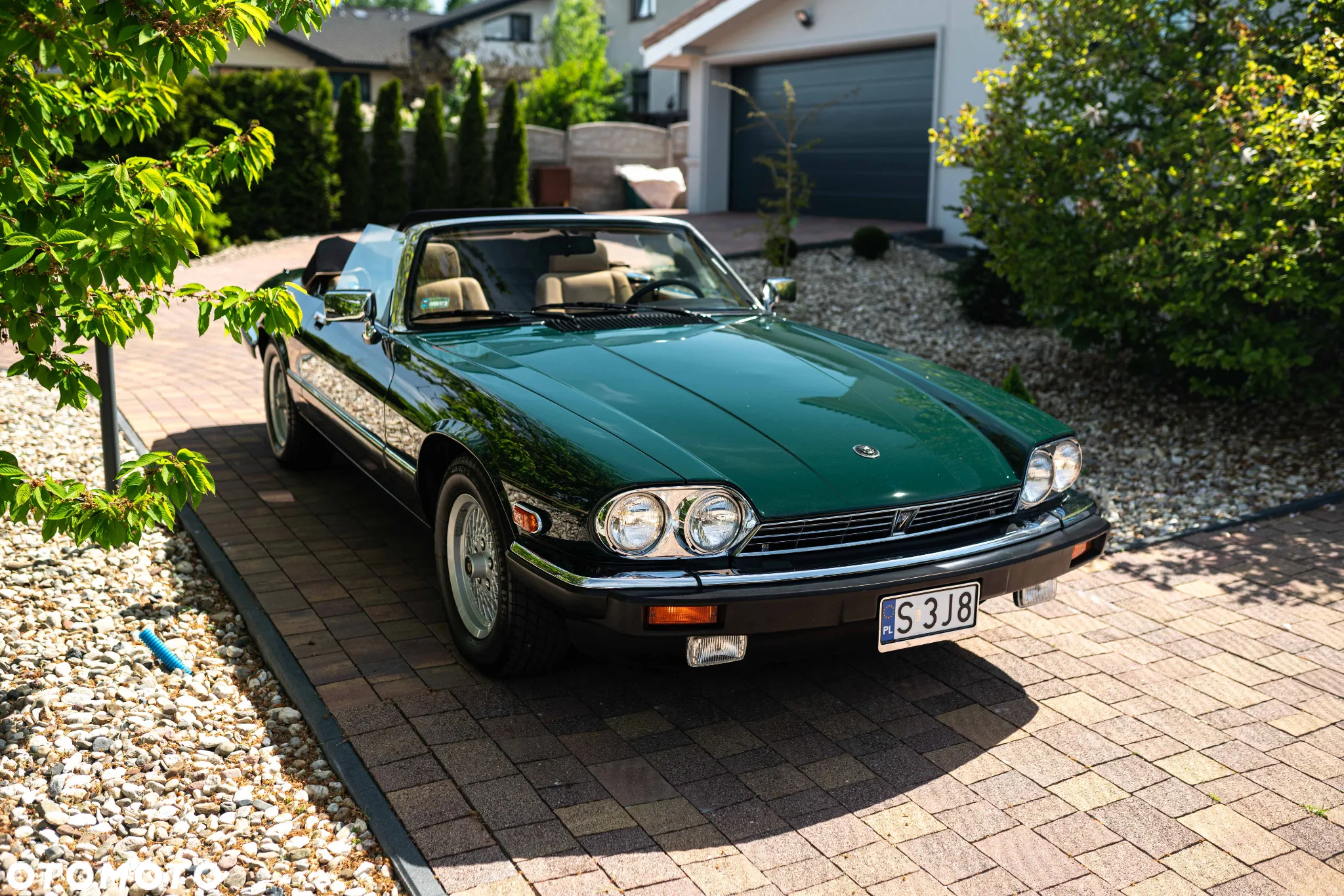Jaguar XJS - 19