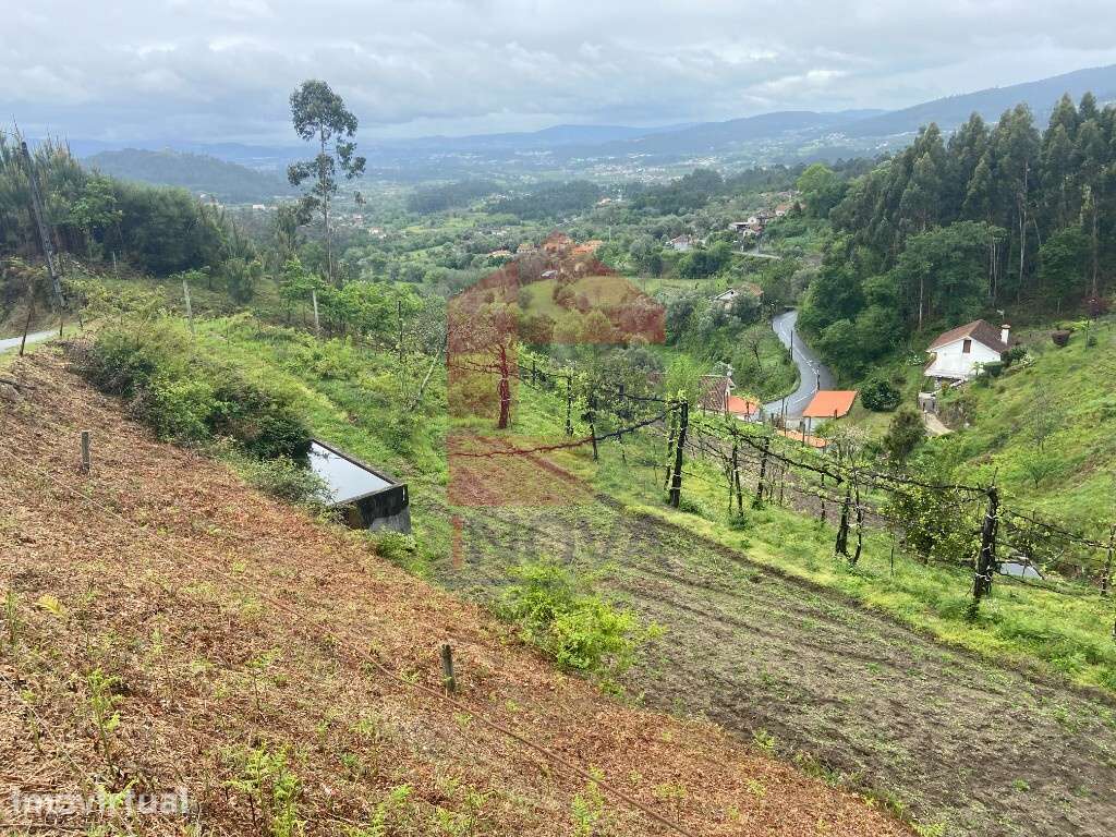 Terreno Agrícola, Barros - Grande imagem: 4/6