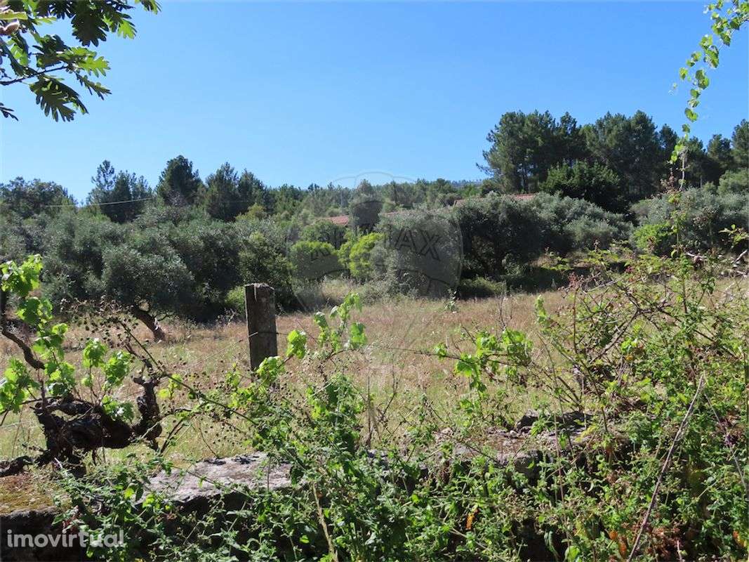 Quinta T2 para venda - Grande imagem: 5/50