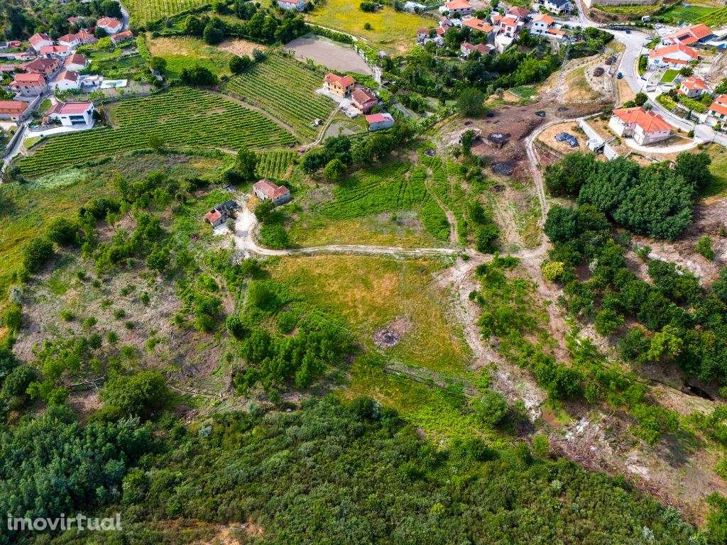 Quinta com 15 Hectares em Lufrei, Amarante  Oportunidade Única! - Grande imagem: 4/20