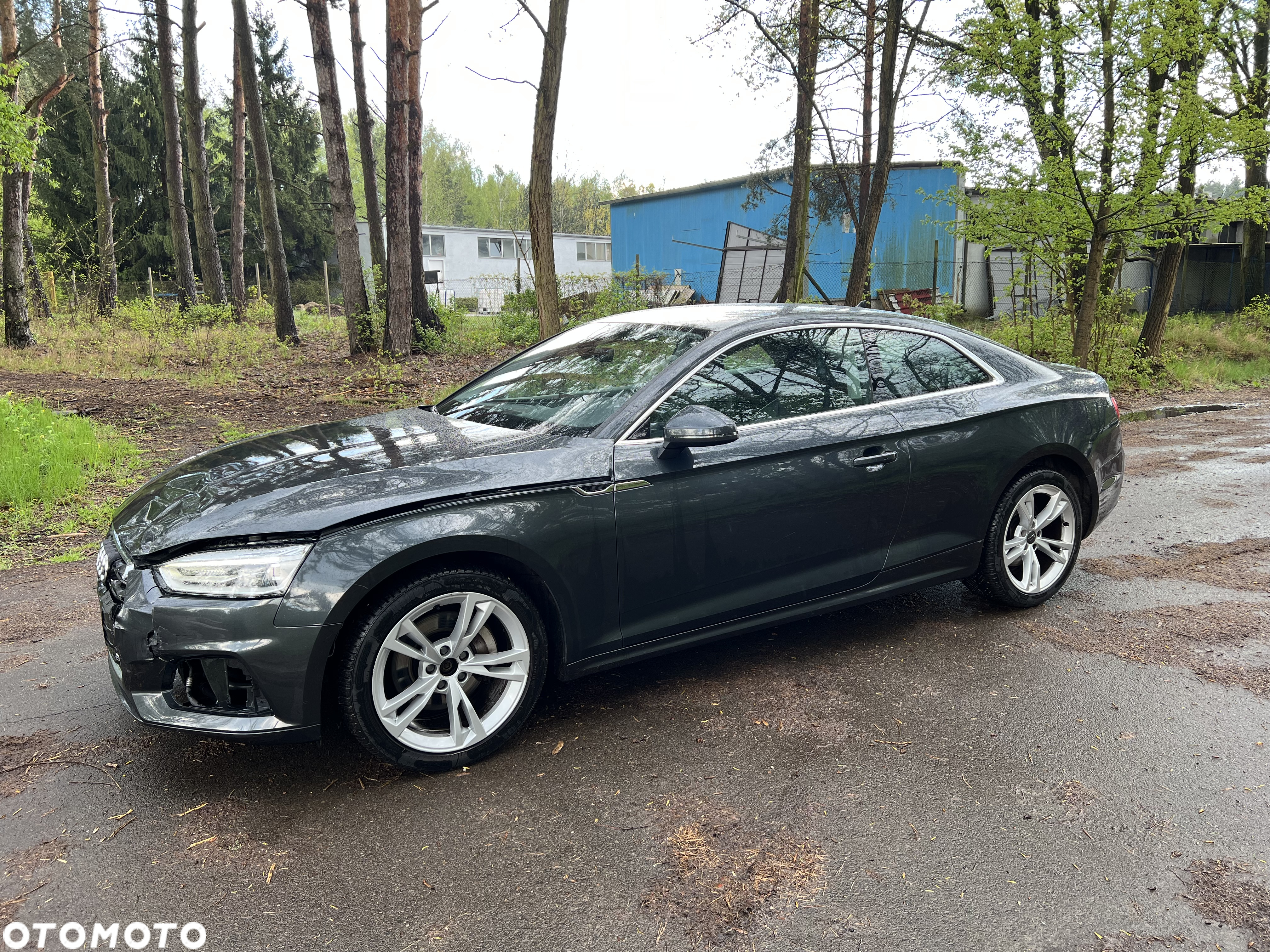Audi A5 2.0 TDI DPF (clean diesel) - 6