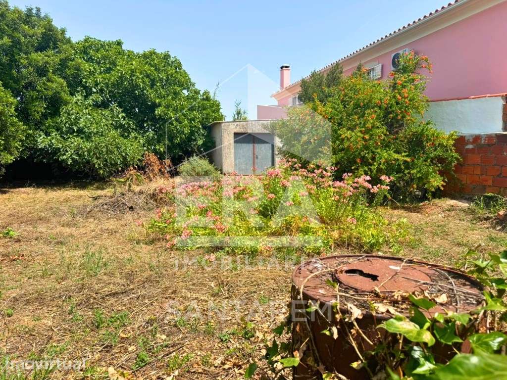 Arrecadação em terreno de 368,80 m² - Grande imagem: 4/6