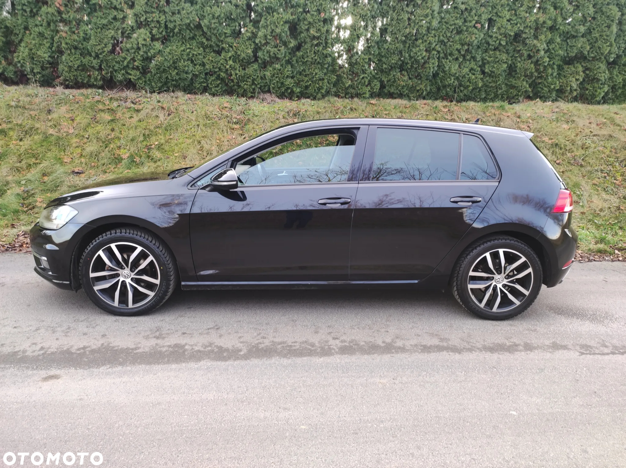 Volkswagen Golf VII 1.6 TDI BMT Highline - 19