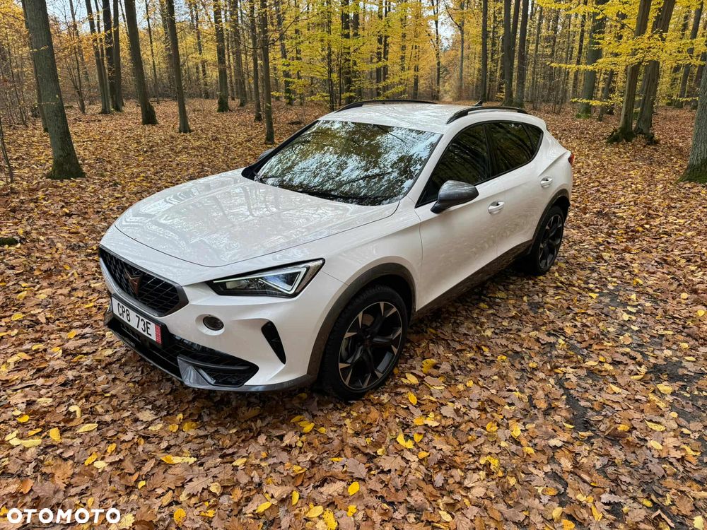 Cupra Formentor 1.5 TSI DSG - 12