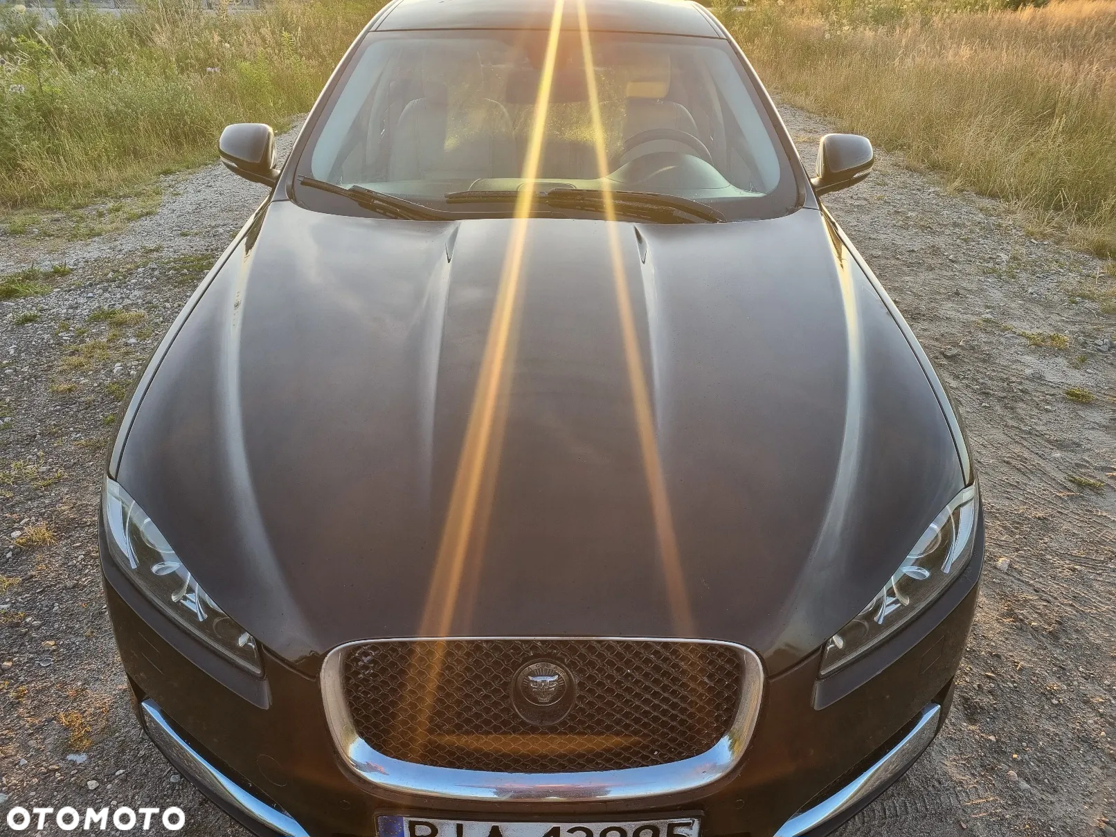 Jaguar XF 3.0 V6 D S Premium Luxury - 6