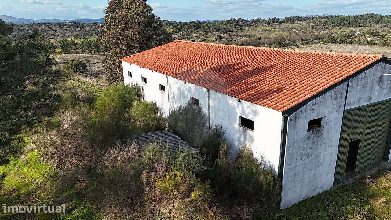 Terreno  para venda - Grande imagem: 3/14