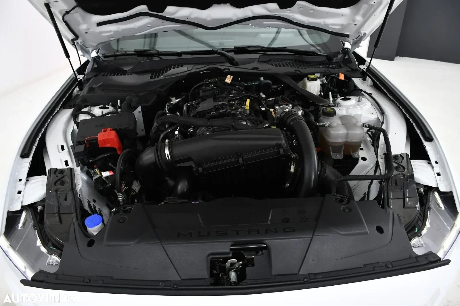Ford Mustang Cabrio 2.3 Eco Boost - 38