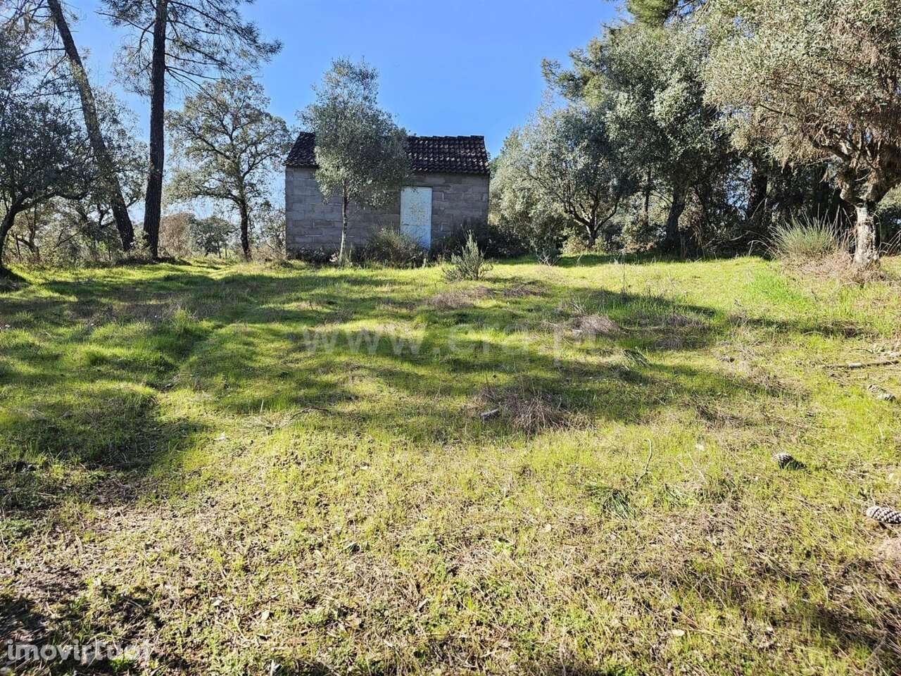 Terreno / Fundão, Orca - Grande imagem: 2/20