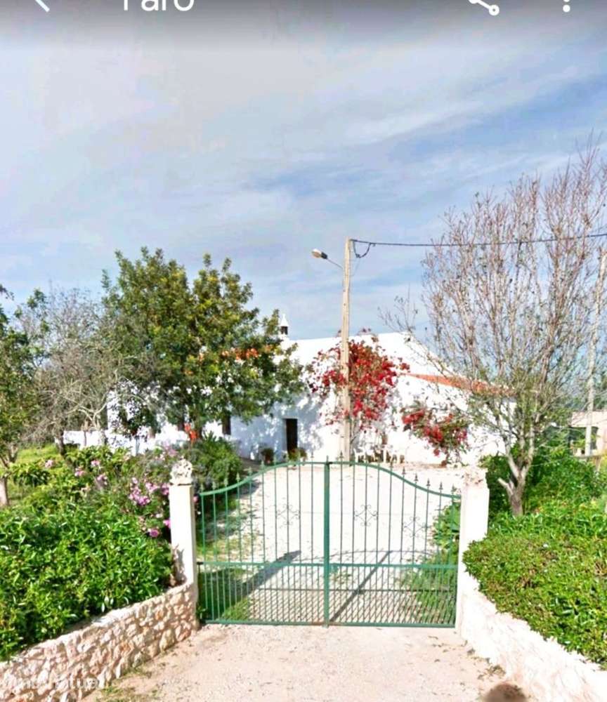Moradia Rústica com Terreno 5 hectares - Canais Albufeira - Grande imagem: 4/15