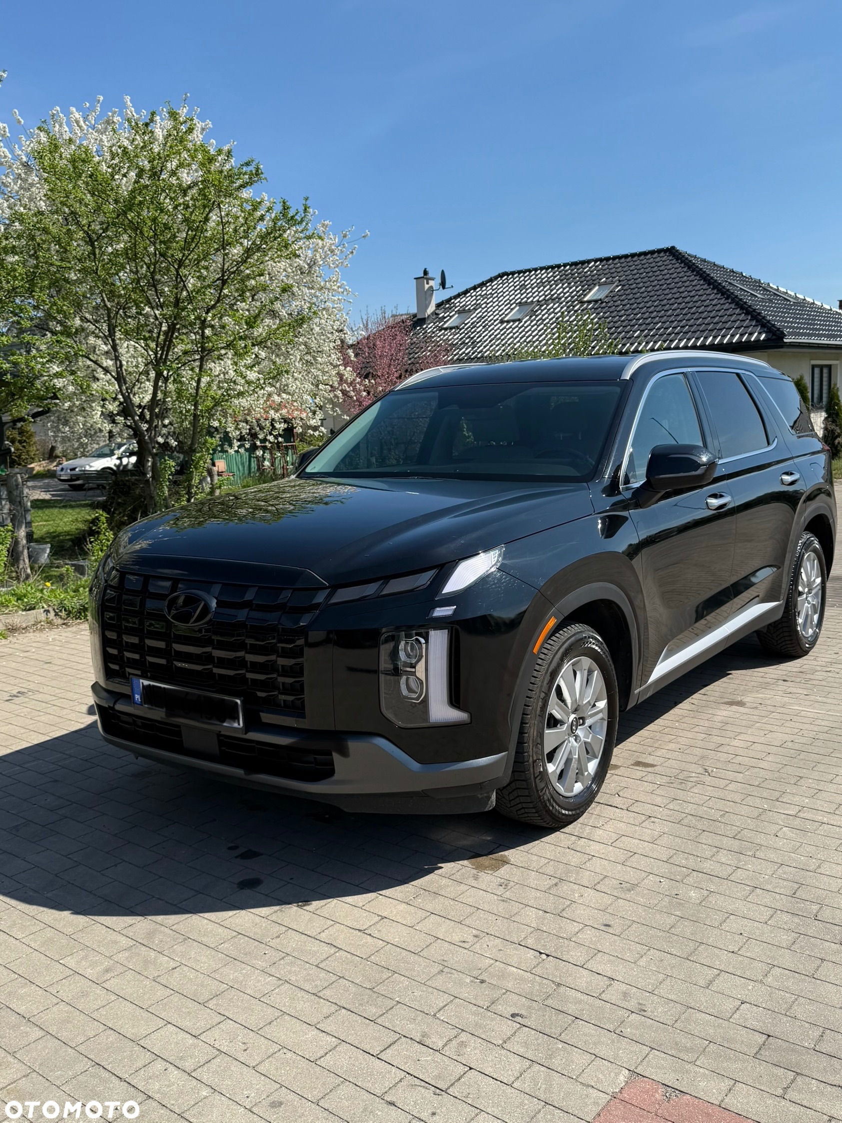 Hyundai Palisade - 14