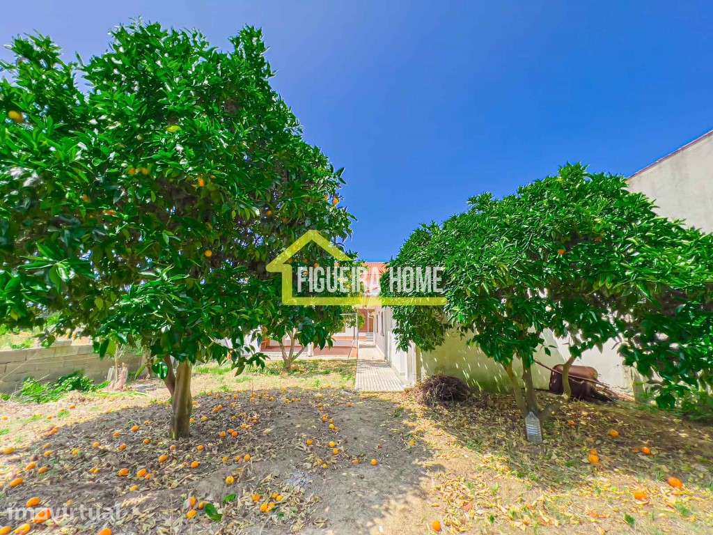 Moradia com terreno e árvores de fruto - Grande imagem: 3/34