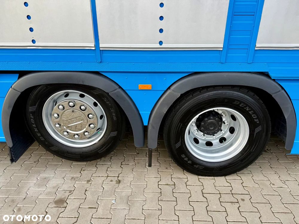 MAN TGX 26.540 // E6 // Zabudowa PEZZAIOLI // 3 poziomy hydraulika, podnoszony dach, rampa hydrauliczna // do żywca, do bydła, do transportu zwierząt - 23