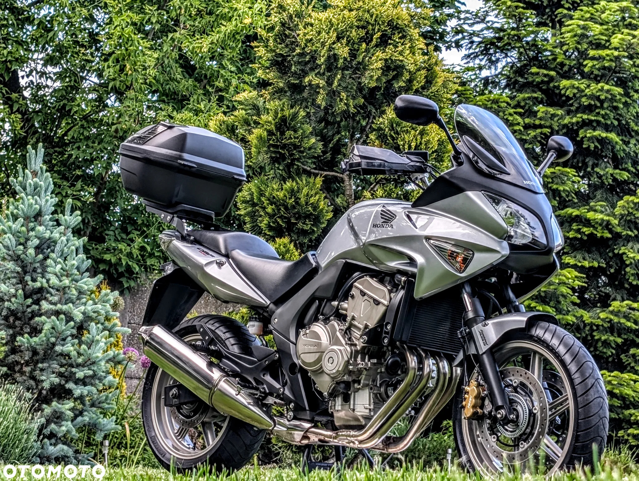 Honda CBF - 3