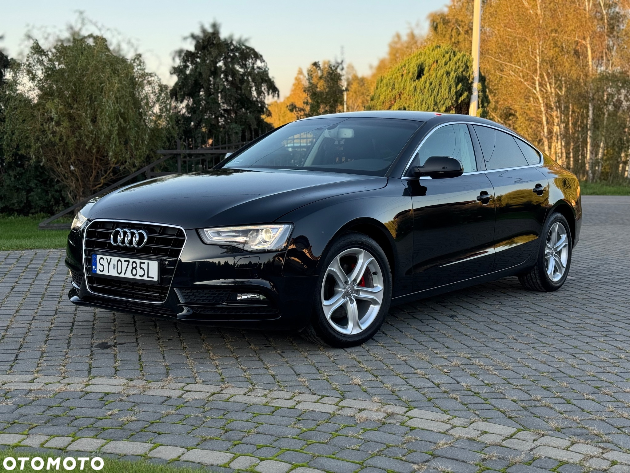 Audi A5 2.0 TDI Multitronic - 5