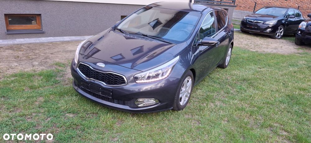 Kia Ceed - 1