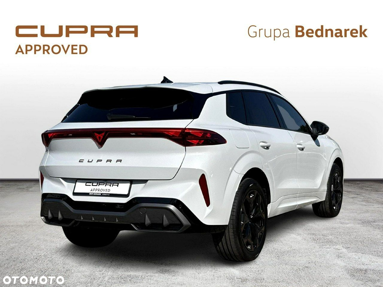 Cupra Terramar - 5