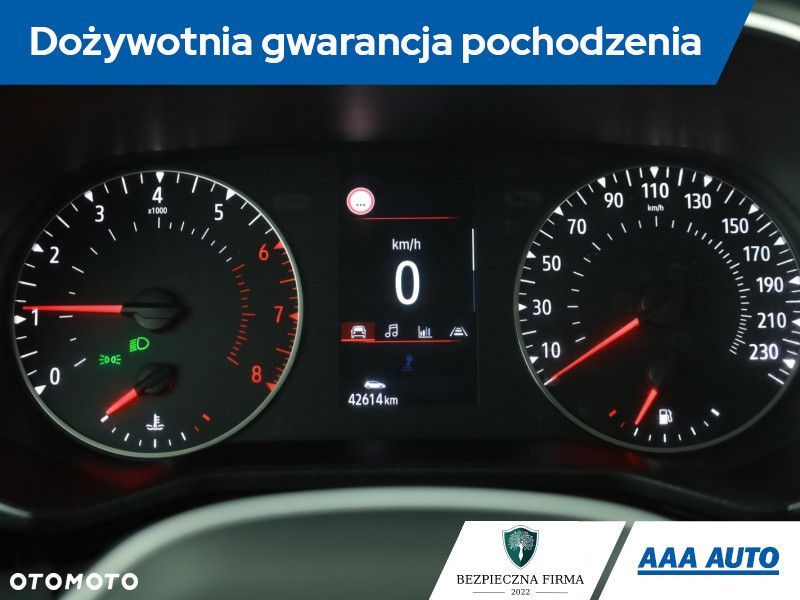 Renault Clio - 9